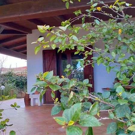בית הארחה בוג'רו 	Casa Armas מראה חיצוני תמונה