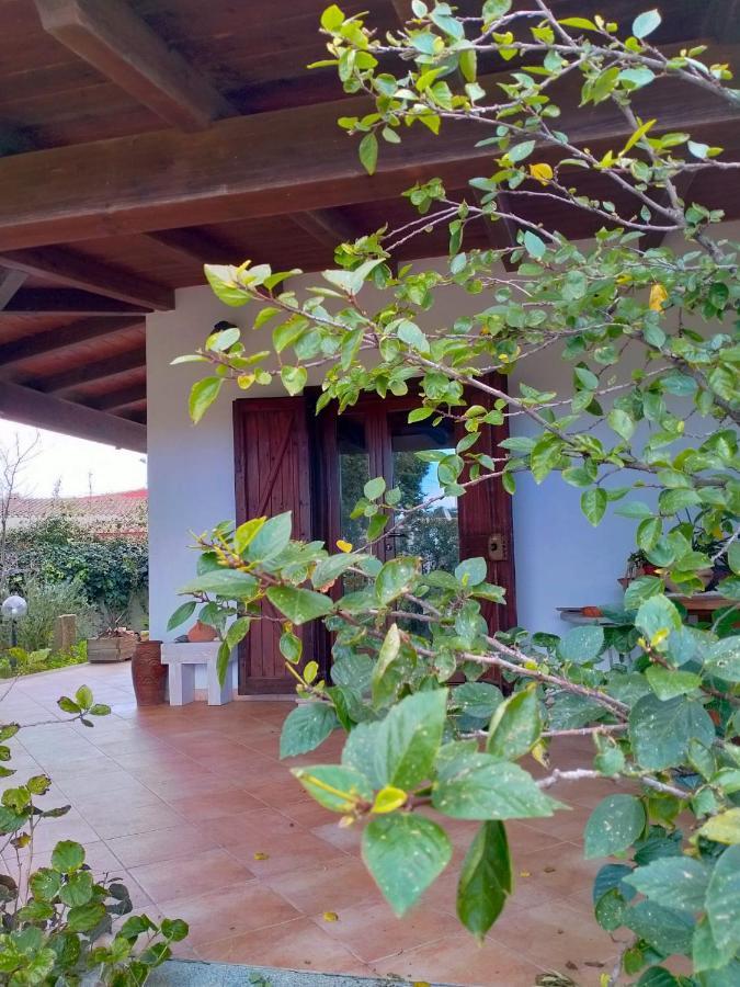 בית הארחה בוג'רו 	Casa Armas מראה חיצוני תמונה