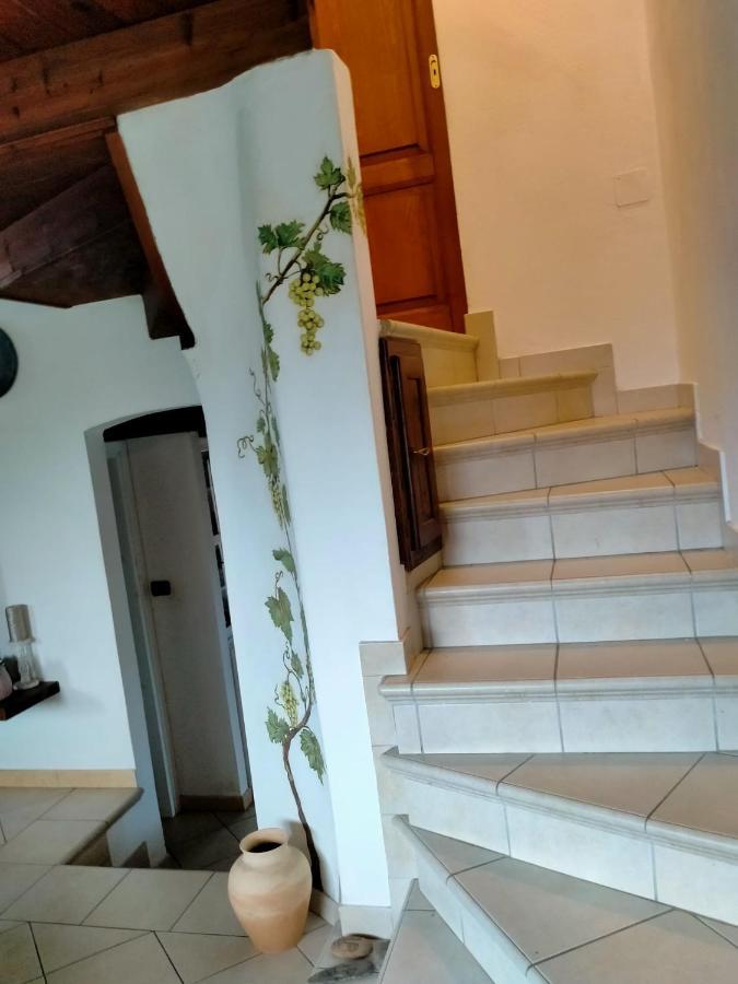 בית הארחה בוג'רו 	Casa Armas מראה חיצוני תמונה